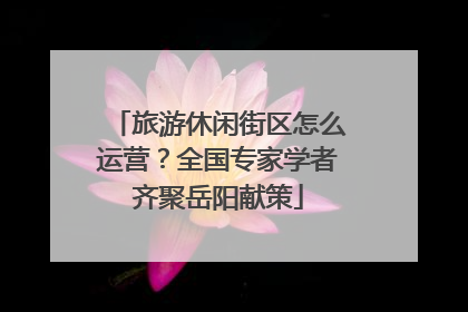 旅游休闲街区怎么运营？全国专家学者齐聚岳阳献策