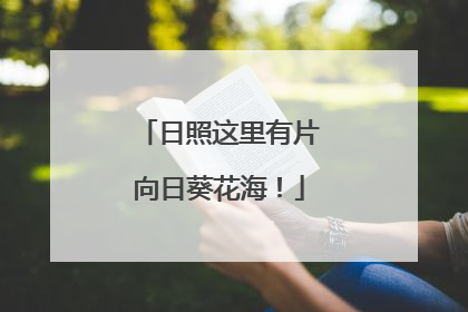 日照这里有片向日葵花海！