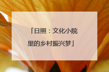 日照：文化小院里的乡村振兴梦