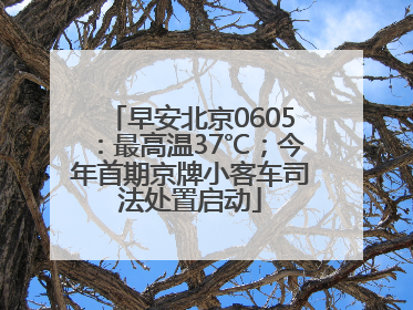 早安北京0605：最高温37℃；今年首期京牌小客车司法处置启动