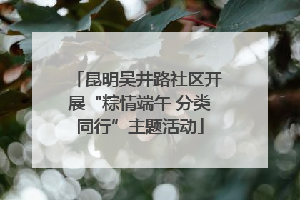 昆明吴井路社区开展“粽情端午 分类同行”主题活动