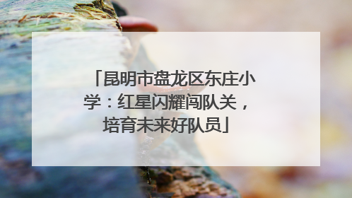 昆明市盘龙区东庄小学：红星闪耀闯队关，培育未来好队员