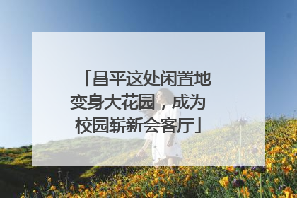 昌平这处闲置地变身大花园，成为校园崭新会客厅