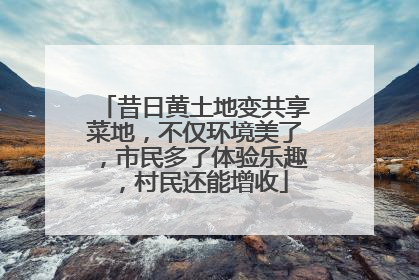 昔日黄土地变共享菜地，不仅环境美了，市民多了体验乐趣，村民还能增收
