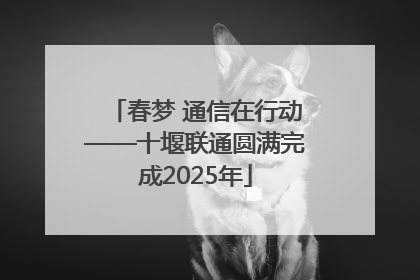 春梦 通信在行动——十堰联通圆满完成2025年