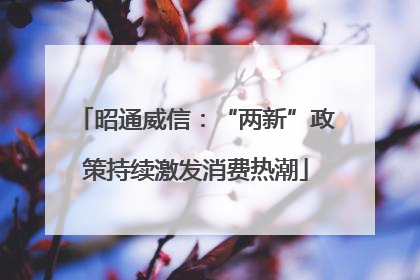 昭通威信：“两新”政策持续激发消费热潮