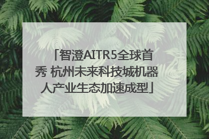 智澄AITR5全球首秀 杭州未来科技城机器人产业生态加速成型