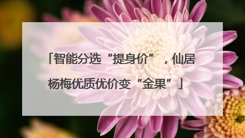 智能分选“提身价”，仙居杨梅优质优价变“金果”