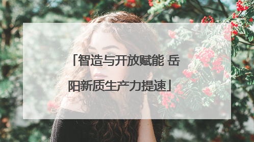 智造与开放赋能 岳阳新质生产力提速