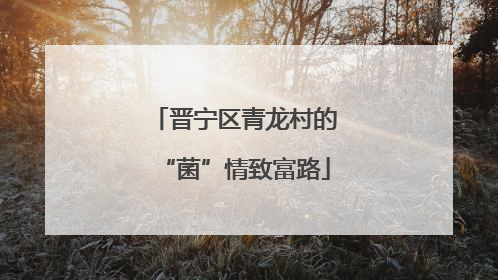晋宁区青龙村的“菌”情致富路