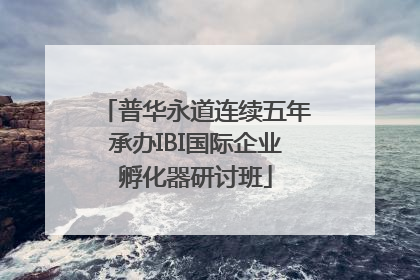 普华永道连续五年承办IBI国际企业孵化器研讨班