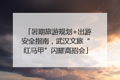 暑期旅游规划+出游安全指南，武汉文旅“红马甲”闪耀高招会