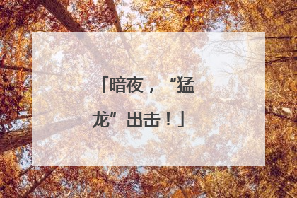 暗夜，“猛龙”出击！