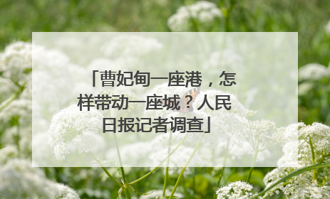 曹妃甸一座港，怎样带动一座城？人民日报记者调查