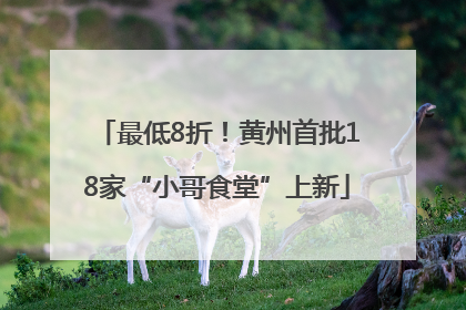 最低8折！黄州首批18家“小哥食堂”上新