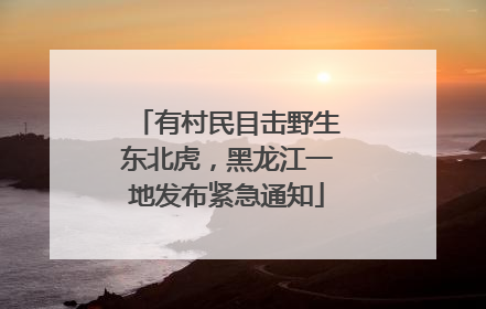 有村民目击野生东北虎，黑龙江一地发布紧急通知