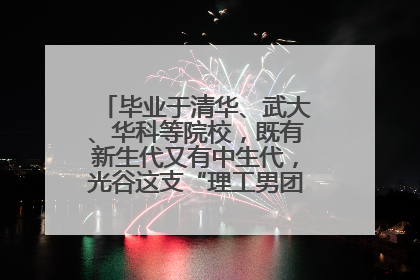 毕业于清华、武大、华科等院校，既有新生代又有中生代，光谷这支“理工男团”为何“出道”？