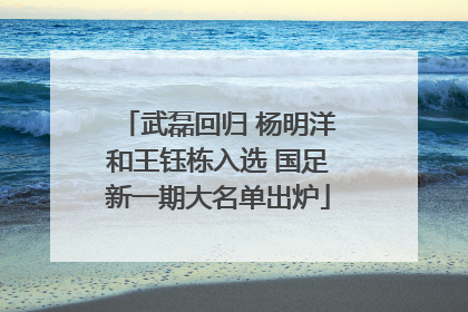 武磊回归 杨明洋和王钰栋入选 国足新一期大名单出炉