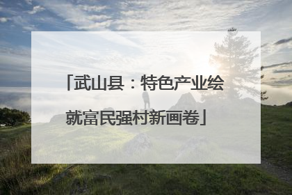 武山县：特色产业绘就富民强村新画卷