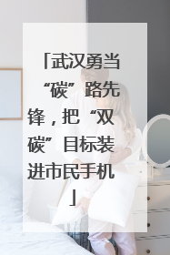 武汉勇当“碳”路先锋，把“双碳”目标装进市民手机