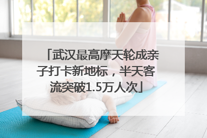 武汉最高摩天轮成亲子打卡新地标，半天客流突破1.5万人次