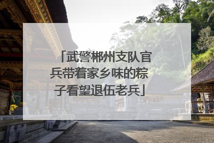武警郴州支队官兵带着家乡味的粽子看望退伍老兵