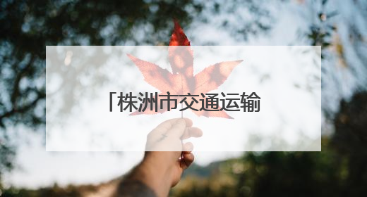 株洲市交通运输局开展“银龄端午福满情”活动