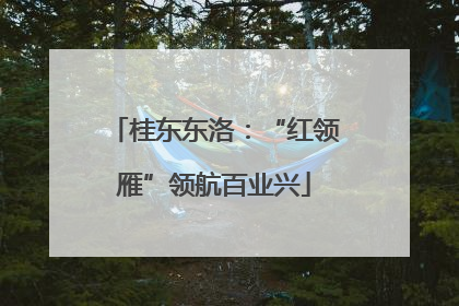 桂东东洛：“红领雁”领航百业兴