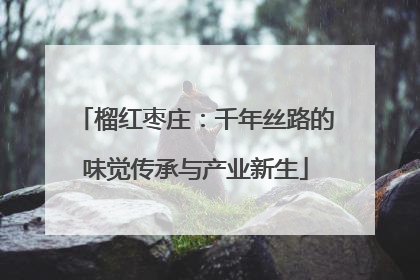 榴红枣庄：千年丝路的味觉传承与产业新生