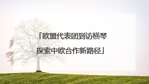欧盟代表团到访横琴 探索中欧合作新路径