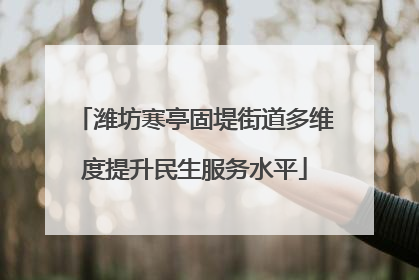 潍坊寒亭固堤街道多维度提升民生服务水平