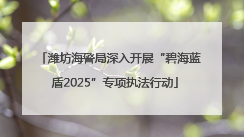 潍坊海警局深入开展“碧海蓝盾2025”专项执法行动