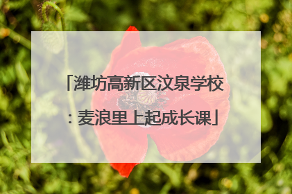 潍坊高新区汶泉学校：麦浪里上起成长课