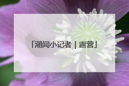 潮闻小记者｜露营