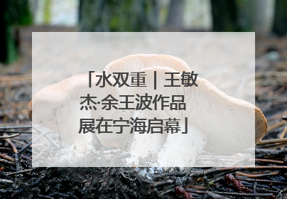 水双重｜王敏杰·余王波作品展在宁海启幕