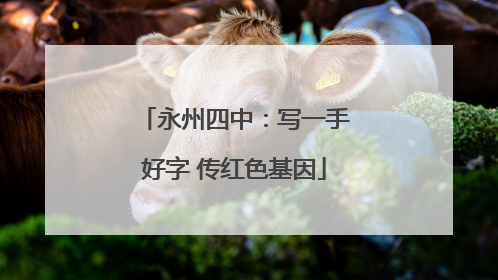 永州四中：写一手好字 传红色基因