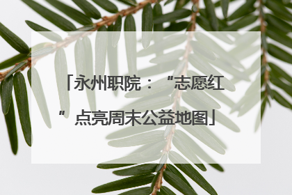 永州职院：“志愿红”点亮周末公益地图