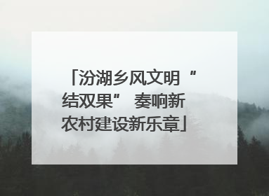 汾湖乡风文明“结双果” 奏响新农村建设新乐章
