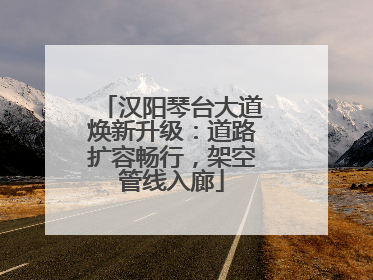 汉阳琴台大道焕新升级：道路扩容畅行，架空管线入廊