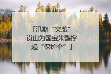 汛期“突袭”，崀山为国宝朱鹮撑起“保护伞”