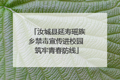 汝城县延寿瑶族乡禁毒宣传进校园 筑牢青春防线