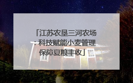 江苏农垦三河农场：科技赋能小麦管理保障夏粮丰收
