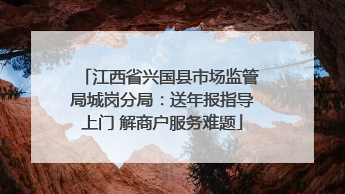 江西省兴国县市场监管局城岗分局：送年报指导上门 解商户服务难题