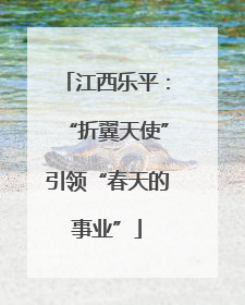江西乐平：“折翼天使”引领“春天的事业”