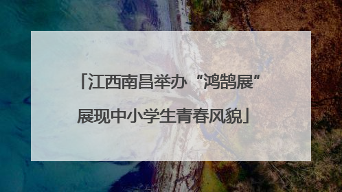 江西南昌举办“鸿鹄展” 展现中小学生青春风貌