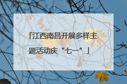江西南昌开展多样主题活动庆“七一”