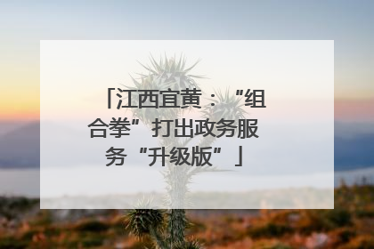 江西宜黄：“组合拳”打出政务服务“升级版”