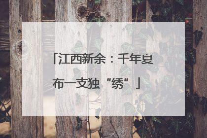 江西新余：千年夏布一支独“绣”