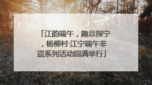 江韵端午，趣意探宁，杨柳村·江宁端午非遗系列活动圆满举行