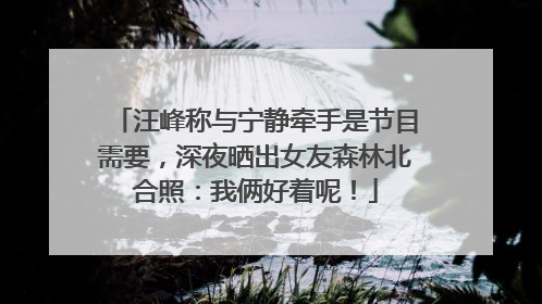 汪峰称与宁静牵手是节目需要，深夜晒出女友森林北合照：我俩好着呢！